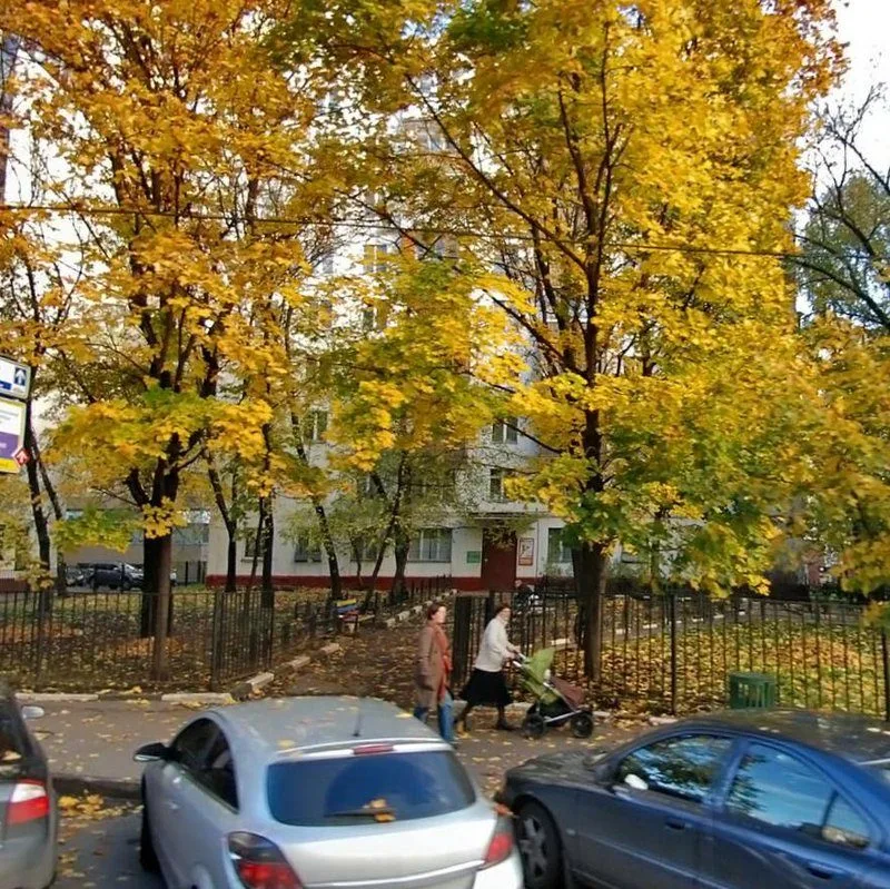 Квартира 37 м² — фото организатора
