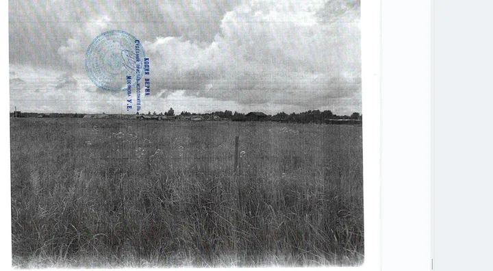 Земельный участок 25 м² — фото организатора